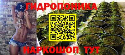гидра Ковров