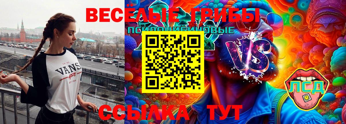 Псилоцибиновые грибы Psilocybe  Вход с VPN  продажа наркотиков  Магнитогорск 